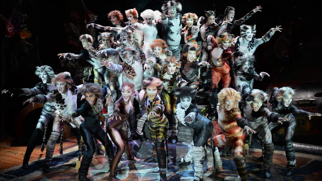 ������� ������ � �������� �Cats�